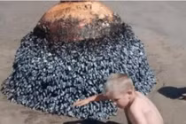 Tìm thấy 'hòn đá kỳ lạ' trên bãi biển, chuyên gia phán nguy hiểm