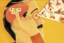 Hội tụ đủ 4 dấu hiệu này chứng tỏ thuộc nhóm người khôn ngoan