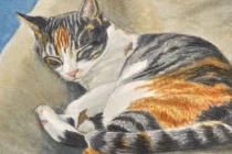 Nửa cuối tháng 11 hoan hỷ: 3 con giáp hưởng trọn phú quý thiên hạ