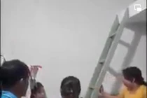 Đang đánh ghen thấy con cá lóc, vợ chất vấn khiến netizen cười ngất