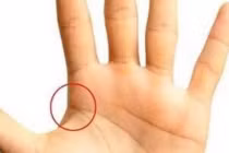 5 nét tướng tay của người có số phát tài