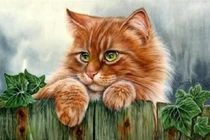 Mẹ chồng thuộc con giáp này thì coi con dâu như con ruột 