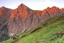 Khi về già, phải chủ động cắt đứt quan hệ với ba loại người