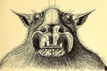 Dơi đầu búa - một trong những sinh vật xấu xí nhất thế giới