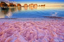 “Rụng tim” với bãi biển màu hồng phấn lãng mạn bậc nhất thế giới