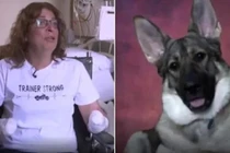 Chỉ vì cú liếm của chó cưng, cắt cụt tứ chi đau đớn 