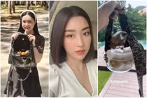 Đoàn Di Băng sắm túi xách đắt đỏ chỉ để đựng hoa quả