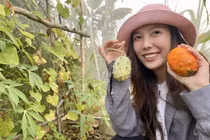 9X miền Tây mê làm nông nghiệp, trồng cả mía Hawaii, dưa châu Phi