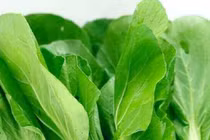 Những người tuyệt đối không ăn rau cải, kẻo 'rước hoạ'