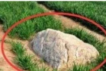 Ngọn núi nhỏ nhất thế giới, chỉ 0,6m nhưng không ai dám leo