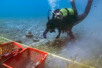 “Ngôi làng ma” dưới đáy hồ: Nhiều bí mật sau 7.000 năm 