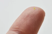 Choáng với túi xách nhỏ hơn...hạt muối giá gần 1,5 tỉ đồng