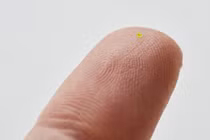 Choáng với túi xách nhỏ hơn...hạt muối giá gần 1,5 tỉ đồng