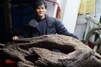 Ngư dân bất ngờ vớt được khối gỗ ước tính hơn 3.455 tỷ đồng