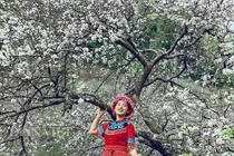 Thiếu nữ đua nhau đọ sắc bên hoa mận đẹp nao lòng