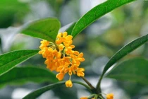 Từ tháng 3, tài lộc tăng vụt, 3 cung hoàng đạo kiếm bộn tiền