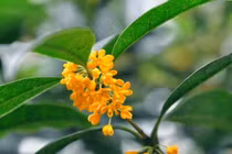 Từ tháng 3, tài lộc tăng vụt, 3 cung hoàng đạo kiếm bộn tiền