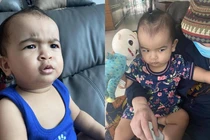 Võ Hạ Trâm gây cười khi gọi ái nữ là "trà xanh non"