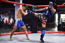 Nữ võ sĩ 'đánh đấm' 6 giờ mỗi ngày để đấu giải võ thuật