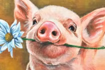 Tháng 9 âm ai đen mặc ai: 3 con giáp phát tài phát lộc