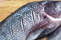 Đi chợ, tránh xa 4 loại cá vừa bẩn vừa không có dinh dưỡng này! 