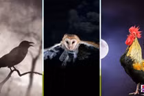 Các cụ dặn: Trong nhà có 5 tiếng gọi, tai họa chắc chắn đến