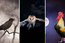 Các cụ dặn: Trong nhà có 5 tiếng gọi, tai họa chắc chắn đến