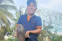 Câu được cá trê khủng nặng gần 10kg, người đàn ông thả lại ao