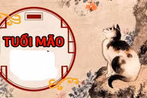 Cuối Nhâm Dần 2022: 4 tuổi đại phát, 1 tuổi còng lưng trả nợ