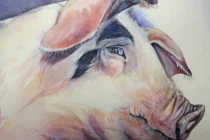 Cuối tháng 9: 3 con giáp được nhận lộc trời ngày càng vượng phát