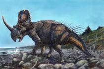 Tìm thấy khối u ác tính 76 triệu năm trong xương khủng long