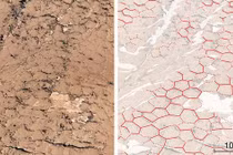 NASA tìm thấy tổ ong có thể là nơi sinh vật ngoài hành tinh ra đời