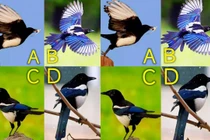 Trắc nghiệm tâm lý: Thử xem vận may gần đây đến với bạn