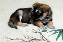 Tuần mới (1/8 - 7/8), 3 con giáp gặp đủ xui xẻo, tiểu nhân rình rập 