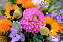 5 ngày nữa, 3 con giáp nhận đại cát, đại lộc, tiền vào như nước