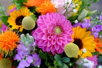 5 ngày nữa, 3 con giáp nhận đại cát, đại lộc, tiền vào như nước