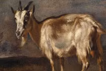 100 ngày tới, 3 con giáp Thần Tài chiếu cố, may mắn ập đến bất ngờ 