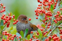 Từ tháng 5, 4 con giáp có cuộc sống dư dả, sung sướng