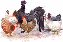 Nỗ lực hết mình, 3 tuổi này tài lộc rực rỡ suốt tháng 8 âm