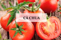 Cà chua - thực phẩm "vàng" trong "làng" trị mụn được chị em ưa chuộng 