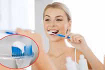 Nhúng kem đánh răng vào nước trước khi đánh răng có đúng không?