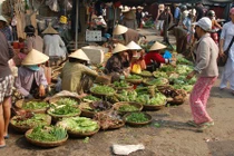 Khách Tây thích thú nói về tiếng Việt