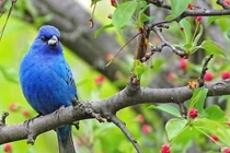 Người sinh tháng Âm lịch này nỗ lực được đền đáp 