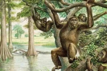 Con người đầu tiên trên thế giới đã ra đời như thế nào?