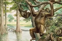 Con người đầu tiên trên thế giới đã ra đời như thế nào?