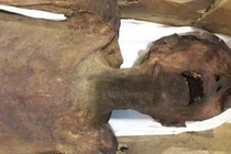 Bí ẩn “xác ướp hoàng tử la hét” 3.000 tuổi 