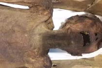 Bí ẩn “xác ướp hoàng tử la hét” 3.000 tuổi 