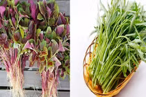 Bất ngờ loại rau giàu canxi hơn sữa, chợ nào cũng có