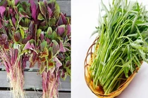 Bất ngờ loại rau giàu canxi hơn sữa, chợ nào cũng có