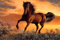 3 con giáp 2023 tiền mất tật mang, sang 2024 đổi đời ngoạn mục